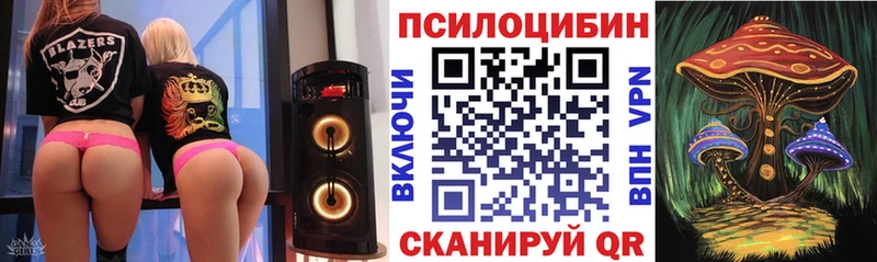 Купить  Аткарск  Псилоцибиновые грибы MAGIC MUSHROOMS 